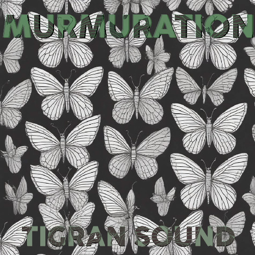 Tigran Sound - Murmuration