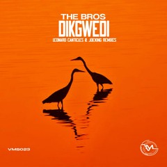 The Bros - Dikgwedi  (Joeking Soulful Mix)