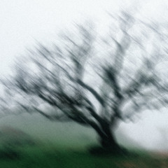 like this (prod. Yamantaka)