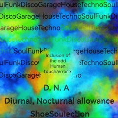 DNA Diurnal Nocturnal Allowance December ShoeSoulection