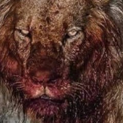 Summer Mine Spring Too