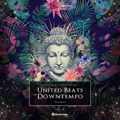 Raging Ravers (Psychoz Remix) [feat. Psibindi]