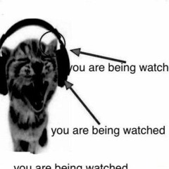 you can