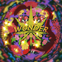 Wonder