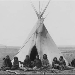 Sai che gli alberi parlano?