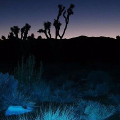 cold in the night