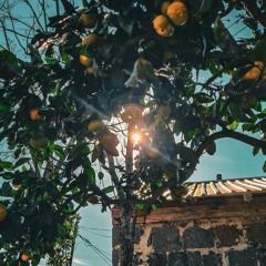 SOL