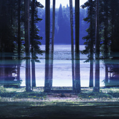 Boards Of (Synth BOC Influence)