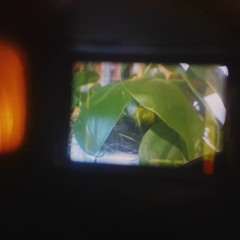 Justin Bieber - Peaches (No Photos Edit)