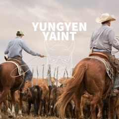 YungYen - Yaint