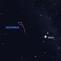 9/12/22 - Delphinus the Dolphin