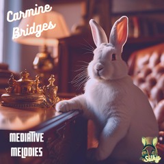 Carmine Bridges - Meditative Melodies (Mr Silky's LoFi Beats)