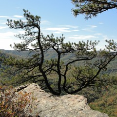 Summit