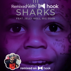 Lil Wayne x MC Luan da Bs - Sharks (feat. Jelly Roll, Big Sean) x Hoje É Whisky (@sfg Hook Mashup)