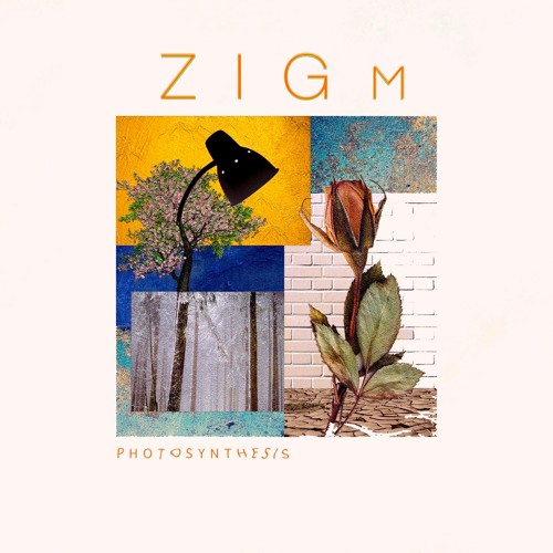 04.ZIGm - To Do List