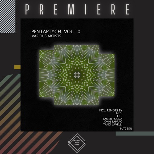 PREMIERE: CTP - Your Lips Are Like Roses (Original Mix) [Polyptych Noir]