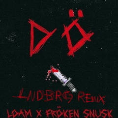 DÖ-LOAMxFRÖKEN SNUSK (LNDBRG Remix)