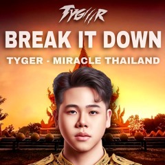 Tyger - Break It Down (Original Mix)