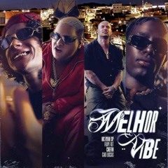 MTG - MELHOR VIBE NO CAMPIM (DJ PV DU CAMPIM)