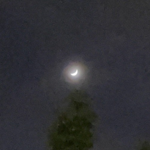 trauma (prod. xenshel x lil faradeyyy)