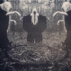 La Forêt du Sabbat