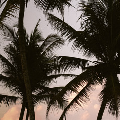 Welcome to Jungle DnB // Reggae DnB Set