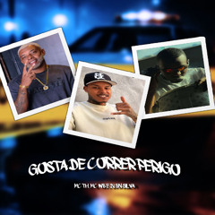 GOSTA DE CORRER PERIGO - MC TH, MC WB ( DJ BN SILVA )