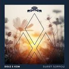 Sweet Sorrow - Radio Version