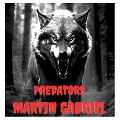 Martin Gabriel - Predators