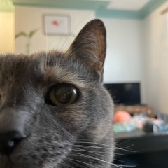 YAKUI