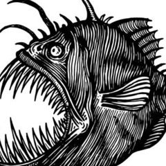 Anglerfish Altercation