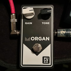 Morgan Amp FUZZ_88strat