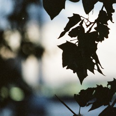 Another (feat. you1)