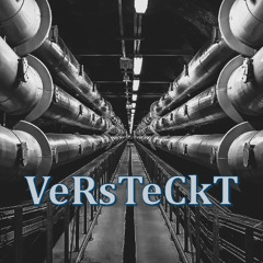 VerRsTeCkT