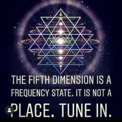 Yogi5dbmf 222 Flow