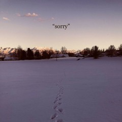 the apology club - sorry (full album)