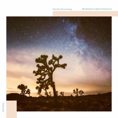 Charlie Dreaming - Meditation [Spirit Cleanse]