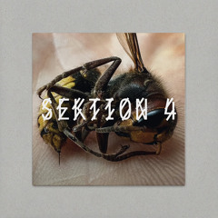 Sektion 4 Hard Techno Mix [ Track Selection Kobosil / Klangkuenstler ]