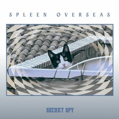 Secret  S P Y  (Par Spleen Overseas band)