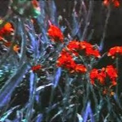 Cocteau twins - Serpentskirt (Jotadelli edit)