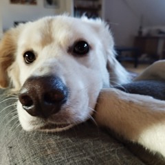 RoRo - Kiffe