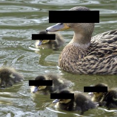 socialgimmicks (kdot&babykeem)