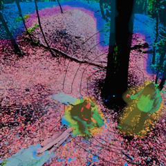 Intro.wav (prod. ERLAX)