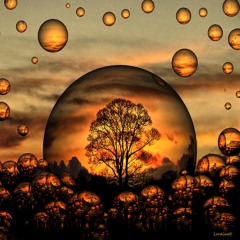 Dreamscape