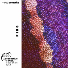 Collective Mood \ Season 01 Ep. 11 \ Pido
