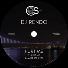 DJ Rendo - Hurt Me (snippets)