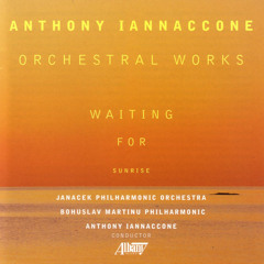 Night Rivers, Symphony No. 3 (feat. Bohuslav Martinu Philharmonic)