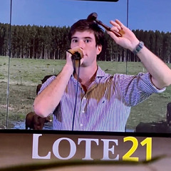 Santiago Gaudín - Lote 21