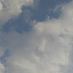 鳥たちの空 / 狐子