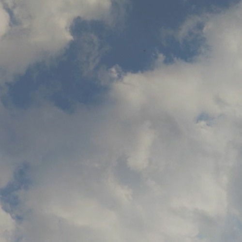 鳥たちの空 / 狐子